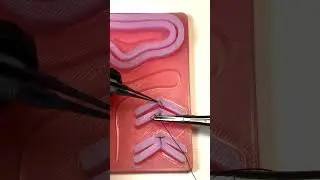 Транспозиция сухожилия | Тренажер Scalpel med