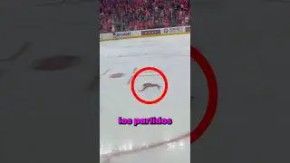 The STRANGEST TRADITION in SPORTS!! 🐙 🏒 5