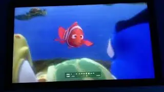 Finding Nemo marlins story in visual commentary