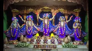 भजन शृंखला 4// THE DIVINE LIVE