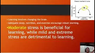 Brain Research: Basics