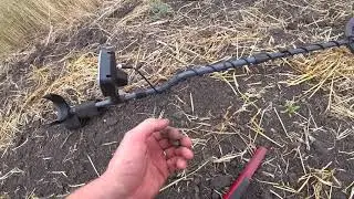 ПОЛЯ УБРАЛИ НОВЫЕ НАХОДКИ ОПЯТЬ ПОПЁРЛИ!