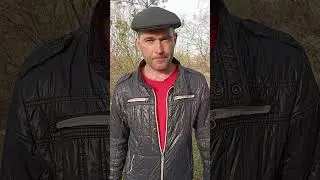Когда лучше обработать абрикос?