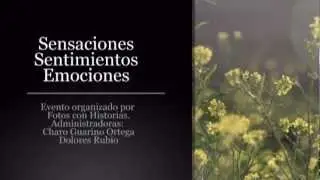Sensaciones, sentimientos, emociones