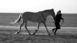 R.I.P Lara wenn Engel gehen....