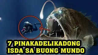 7 PINAKA DELIKADONG ISDA  SA BUONG MUNDO| GREAT WHITE SHARK LION FISH