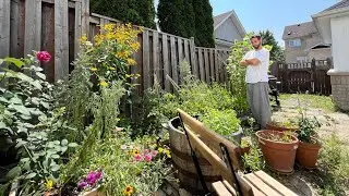 In The Garden