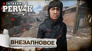 PERVAK | DayZ 1.28