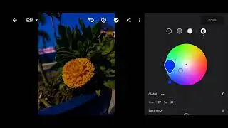 How to Edit Photo in Lightroom mobile application in yellow blue tone #youtube