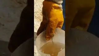 Arılar nasıl bal yapar ve nasıl hayataa kalır?