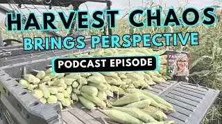 Embracing Busy Times on the Homestead | Farmish Kind of Life Podcast | Epi 290