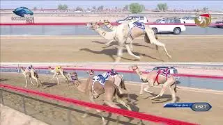حول وزمول للقبائل -المرموم 8-10-2020 ش12 الشهم لـ محمد بطي محمد الغفلي 9:37:2