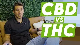 CBD vs THC THE MAIN DIFFERENCES!