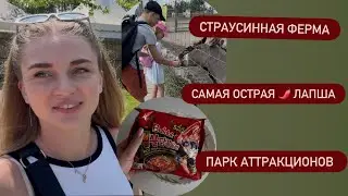 A trip to an ostrich farm. An amusement park. Trying the spiciest Buldak noodles.