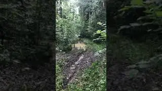 УАЗ на военных мостах и с блокировками едет
