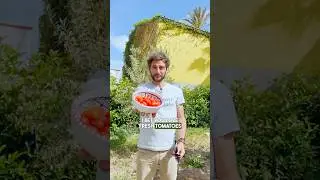 Tomatoes & Basil, plant them together 🌱🍅 Here is why! 