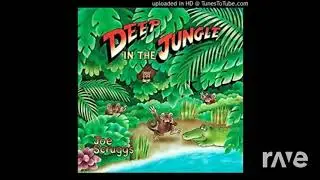 Picture Village - Joe Scruggs & Dark Cloud Ost | RaveDj