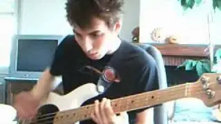 RHCP - Can't Stop [Bass Cover]