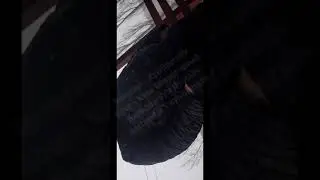 История с вором и хэппи-эндом