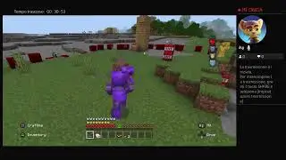 Minecraft