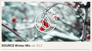 SOURCE WINTER MIX Vol. 012 - HOUSE