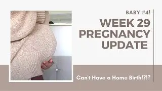 Week 29 Pregnancy Update + Bumpdate -  Back Pain, Anemia & Home Birth