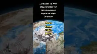 Тест на IQ. Проверь свой ИНТЕЛЛЕКТ shorts #iq #iqtest #загадки #угадай