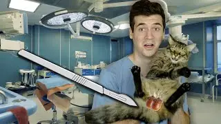 Neutering My Cat! **SURGICAL**