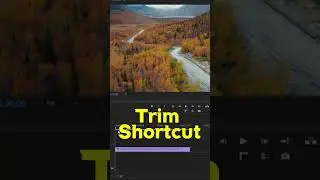 permier pro Day 4  #shortvideos #shorts #short #shortsfeed