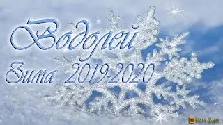 Водолей. Таро прогноз. Зима 2019-2020
