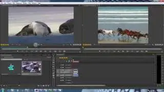 Basic video editing | Adobe premiere pro cs6 2015