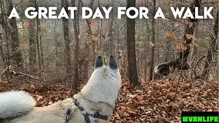 Time Change ,Cool Weather And A Great Fall Walk