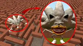 Estoy ATRAPADO en un LABERINTO junto a SILVER SONIC TAPES | Garry's Mod