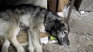 наша команда работает для вас.