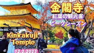 【金閣寺紅葉シーズン2023】外国人観光客団体大混雑‼️紅葉ピークシーズン| Kinkakuji (Golden Pavilion)in Autumn Foliage Kyoto Japan
