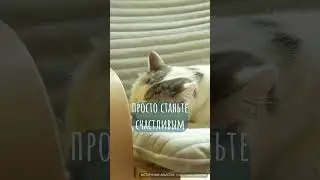 Месть