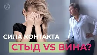 Сила контакта. Стыд и вина!