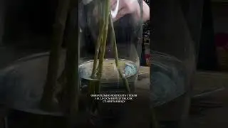 Простой и правильный уход за цветами в домашних условиях.