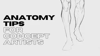 Anatomy Drawing Workflow for Concept Art - Croia Briarheart