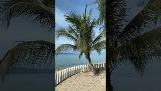 Top 50 SHAZAM. Лучшая музыка 2024.Зарубежные песни хиты 2024.Популярные Песни Слушать Бесплатно#125