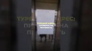 КОГДА ИСКРЕННЕ НЕ ПОНИМАЕШЬ, КУДА УЕХАЛ ЦИРК😅 