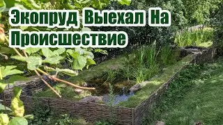 Экопруд выехал на происшествие