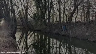 Ein idyllischer Abschnitt unserer Maisach