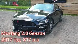 Вин-номер Ford Mustang. Где находится. 2017 год.