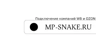 Подключение компаний WB и OZON для автоответчика. MP-SNAKE.RU