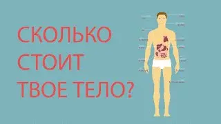 СКОЛЬКО СТОИТ ТВОЕ ТЕЛО?