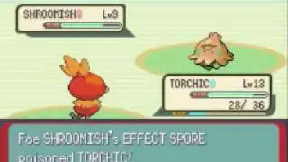 Let's Play Pokémon Emerald Part 9, Pursuing Team Aqua