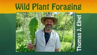 Wild Plant Foraging with Thomas J. Elpel