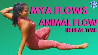 Watch Animal Flow linked together :)