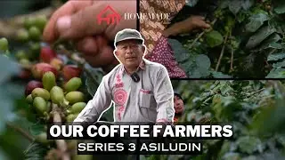 Our Coffee Farmers Series 3 - Asiludin